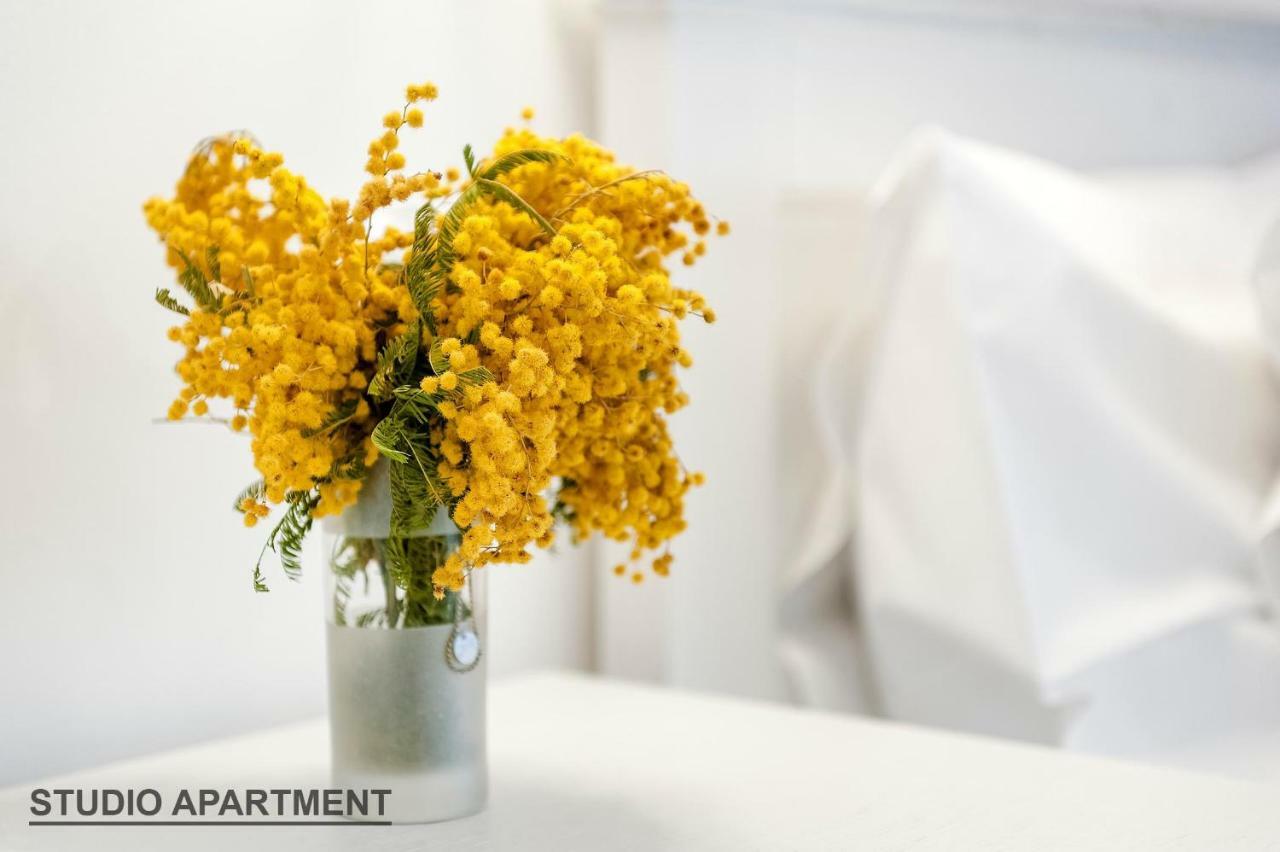 Apartments Rialto Gallery ชิเบนิก ภายนอก รูปภาพ